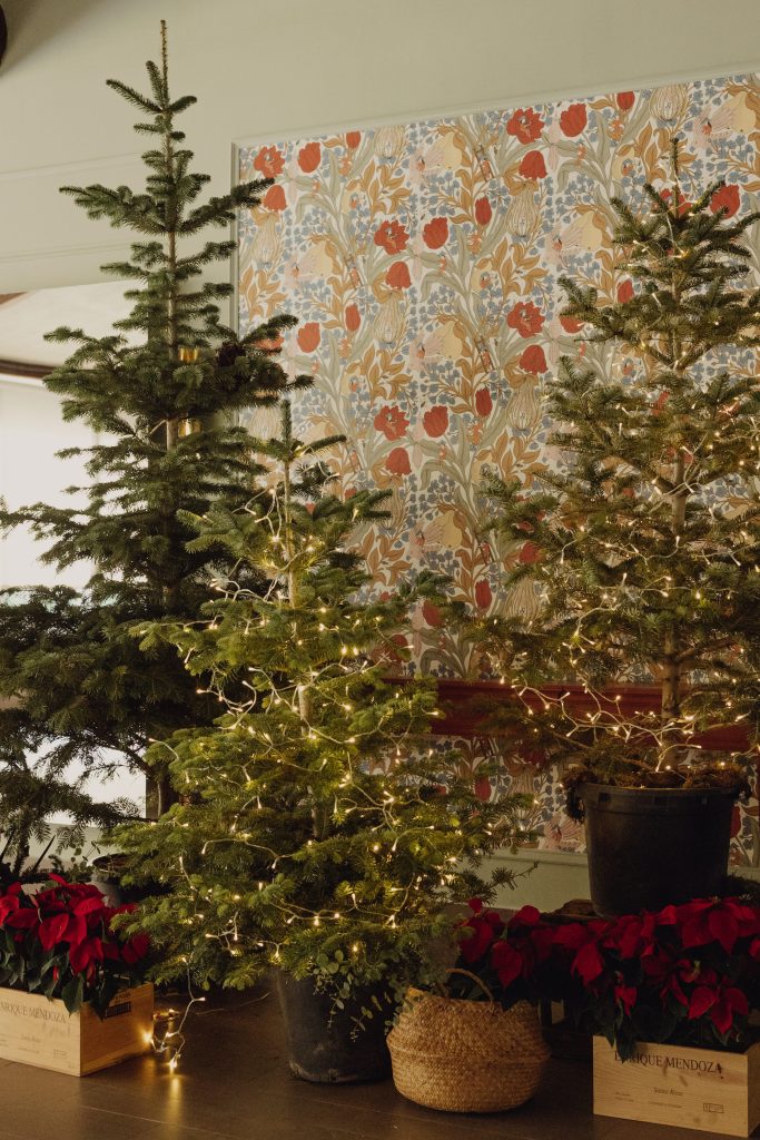 bodas de invierno en normandie ondarreta